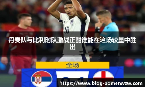丹麦队与比利时队激战正酣谁能在这场较量中胜出