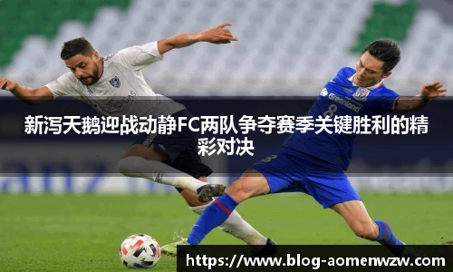 新泻天鹅迎战动静FC两队争夺赛季关键胜利的精彩对决